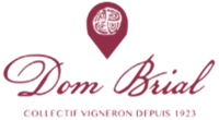Logo-dom brial