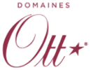 logo-domaines ott