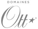 logo-domaine ott