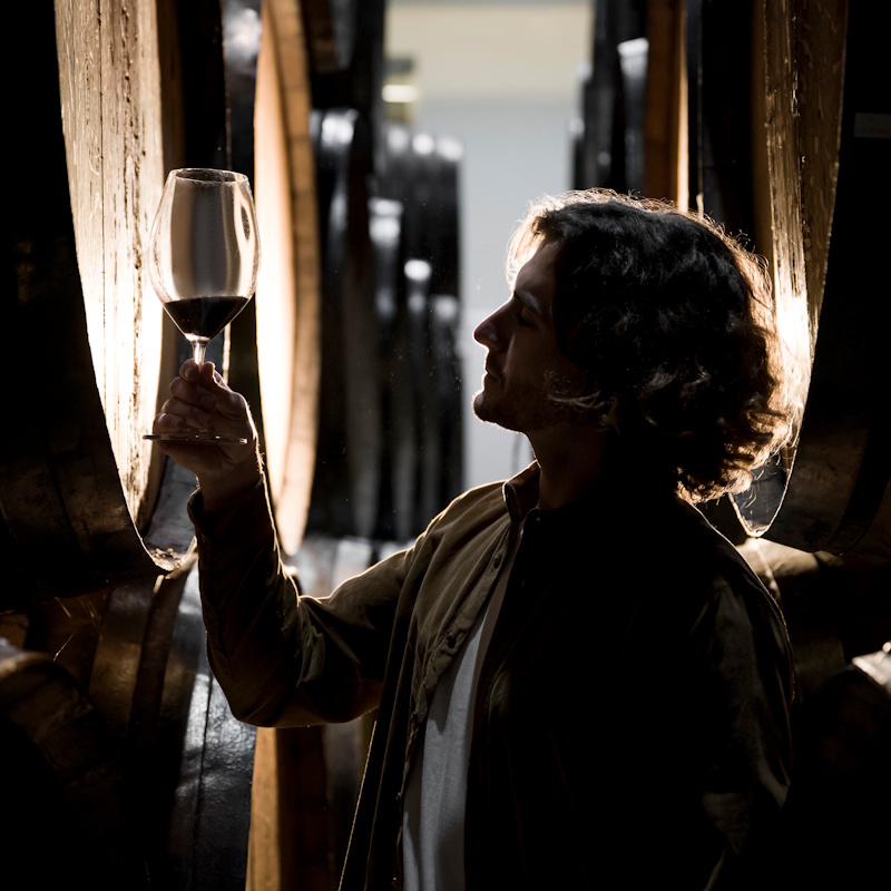 Homme dégustant du vin en cave
